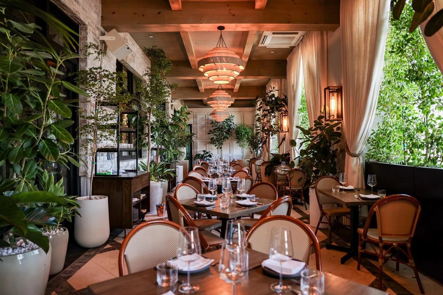 Lush planted restaurant interior designed by Chloe + Mint