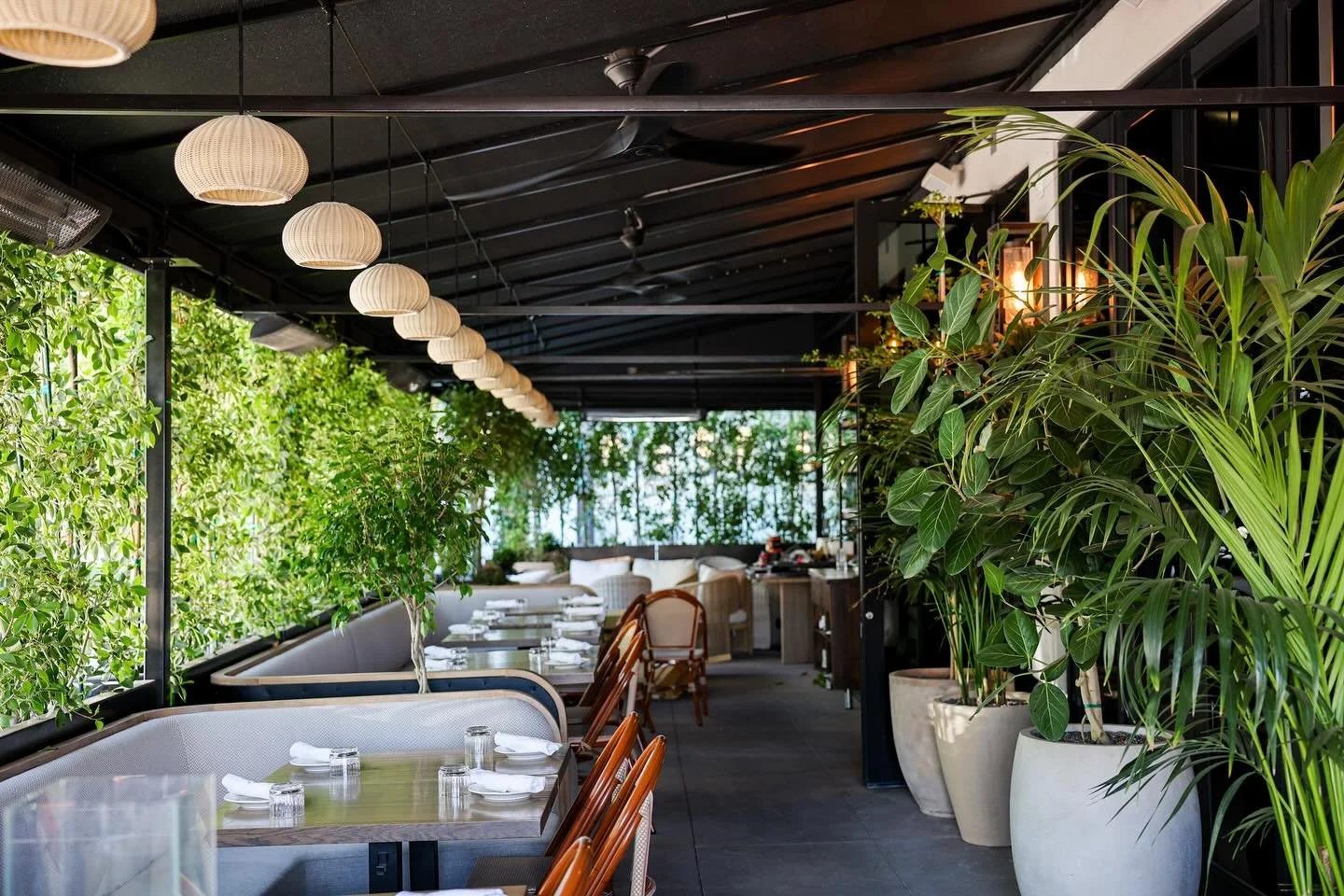 Lantern-lit patio lined with palms