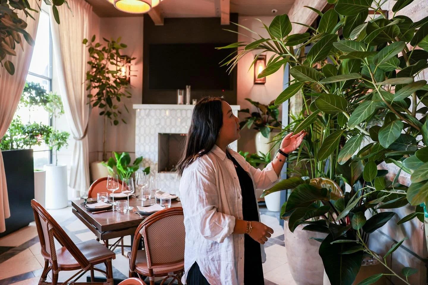 Tending plants in a restaurant